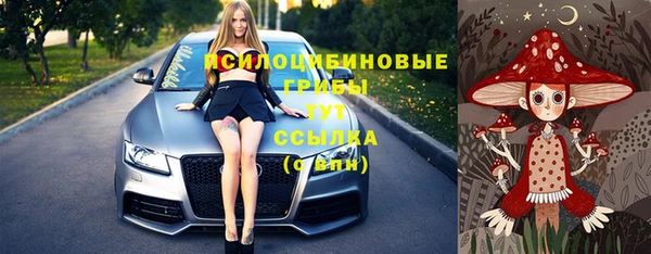 СК Кукмор