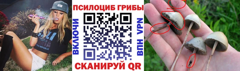 Галлюциногенные грибы мухоморы  Купить закладки  Алушта 